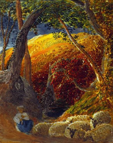 The magic apple tree